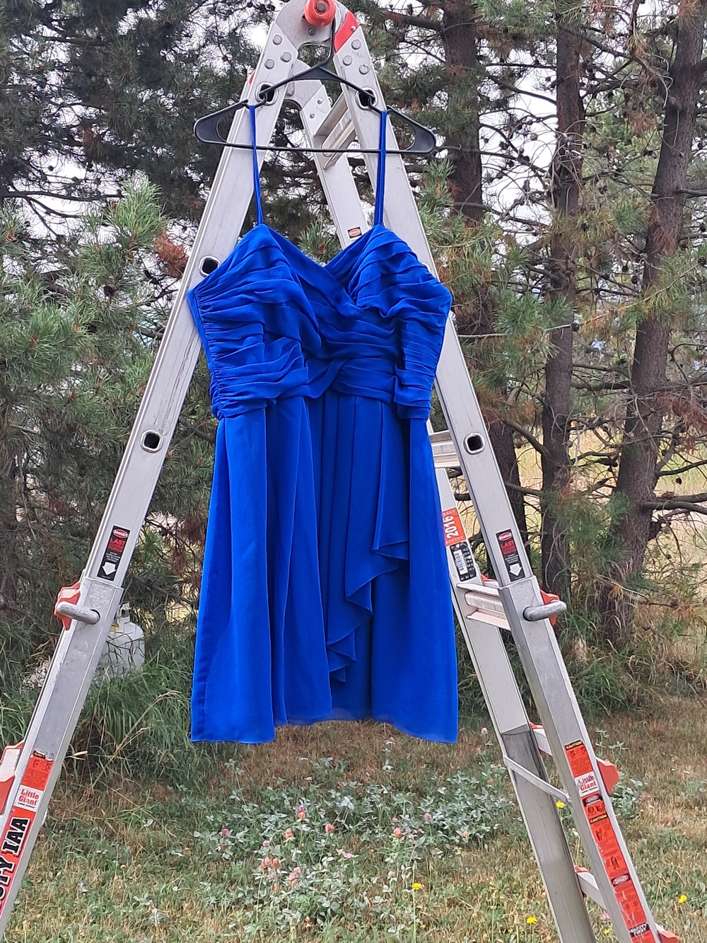 David's Bridal Royal Blue Ruffled Mini Dress